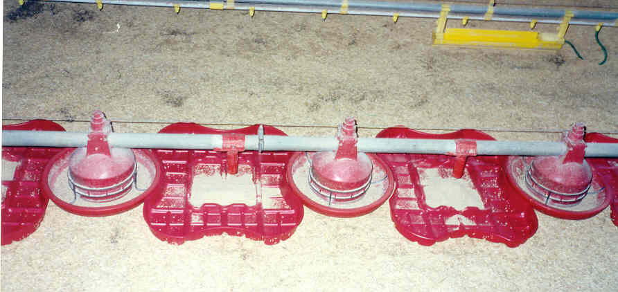 Contour Feed Tray In Use